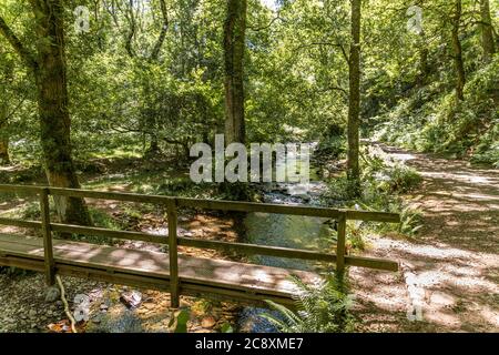 Eine Fußgängerbrücke über das Horner Wasser auf dem Naturlehrpfad in Dunkery und Horner Wood National Nature Reserve am Horner Wood im Exmoor National Park, Somerset Stockfoto