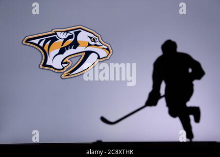 NHL Hockey Konzept Foto. Silhouette des professionellen NHL Eishockey-Spieler Stockfoto