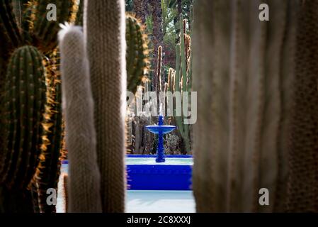 Yves Saint Laurents Gedenkstätte – Majorelle-Gärten in Marrakesch, Marokko Stockfoto