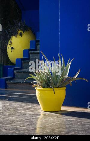 Yves Saint Laurents Gedenkstätte – Majorelle-Gärten in Marrakesch, Marokko Stockfoto