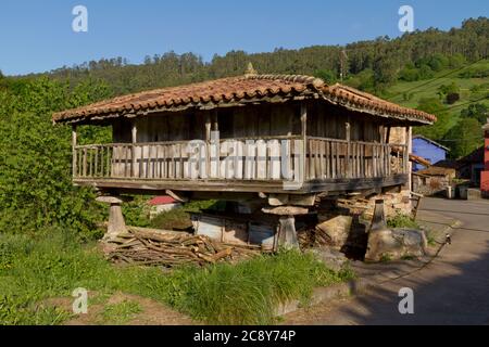 Asturische Kornkammer, eine Holzscheune auf Säulen gebaut, die es vom Boden isolieren Stockfoto