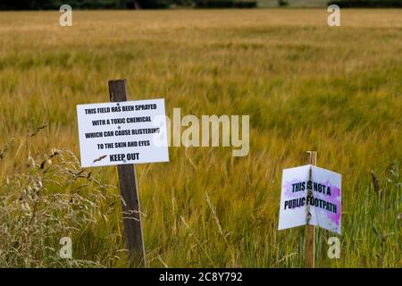 Warnhinweis, der den Menschen sagt, kein Weizenfeld als Fußweg zu benutzen, England, Großbritannien Stockfoto