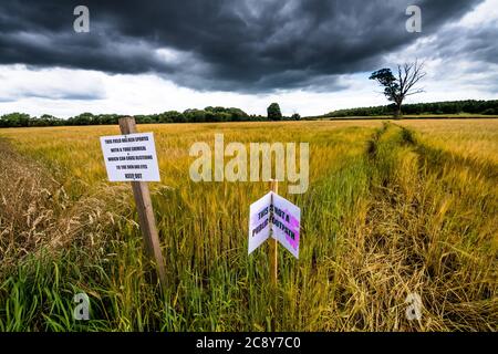 Warnhinweis, der den Menschen sagt, kein Weizenfeld als Fußweg zu benutzen, England, Großbritannien Stockfoto