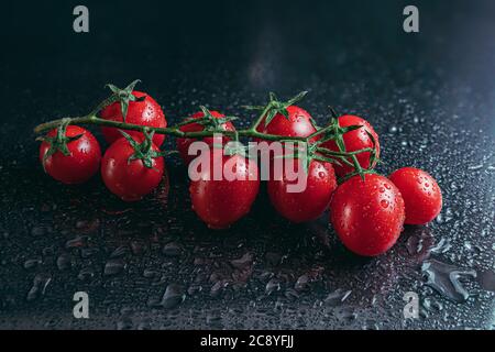 Studio Schuss von reifen Zweig der Kirschtomaten von Wassertropfen isoliert auf schwarzem Hintergrund bedeckt Stockfoto
