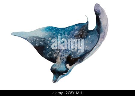 Aquarell-Illustration von gemeinem Adlerrochen als Myliobatis aquila, Meeresfisch. Original handbemalt Geflecktes Skate isoliert auf weißem Hintergrund Stockfoto