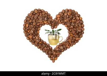 Coffee Heart enthält eine Kaffeetasse mit Kaffeebohnen und Blättern. Herz aus Kaffeebohnen. Isoliert auf weißem Hintergrund. Konzept Liebe. Stockfoto