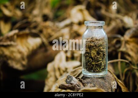 Trockene zerkleinerte Blätter in einem kleinen Glas mit Herbsthintergrund Nahaufnahme Stockfoto