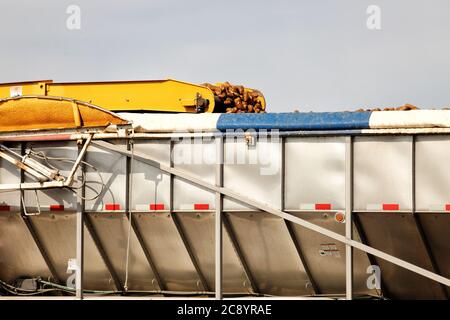 Frisch geerntete Idaho-Kartoffeln werden in einen LKW geladen, um sie in einen Lagerkeller zu transportieren. Stockfoto