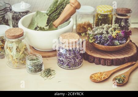 Viele verschiedene trockene pflanzliche Heilmittel Pflanzen ( Chamaenerion angustifolium, Achillea millefolium, Tilia platyphyllos, Prunella vulgaris, Equisetum arvense. Stockfoto