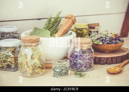 Viele verschiedene trockene pflanzliche Heilmittel Pflanzen ( Chamaenerion angustifolium, Achillea millefolium, Tilia platyphyllos, Prunella vulgaris, Equisetum arvense. Stockfoto