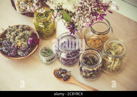 Viele verschiedene trockene pflanzliche Heilmittel Pflanzen ( Chamaenerion angustifolium, Achillea millefolium, Tilia platyphyllos, Prunella vulgaris, Equisetum arvense. Stockfoto