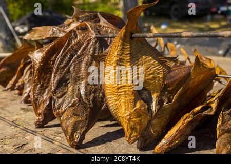 Fischverarbeitungsanlage. Frisch geräucherter Fisch. Geräucherte Flunder, Stockfoto