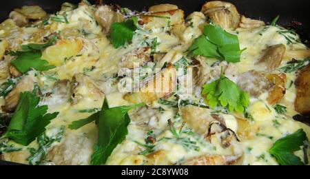 Nahaufnahme des gebackenen Auflaufes mit Kartoffeln, Austernpilzen, Parmesankäse und Schnittlauch Stockfoto