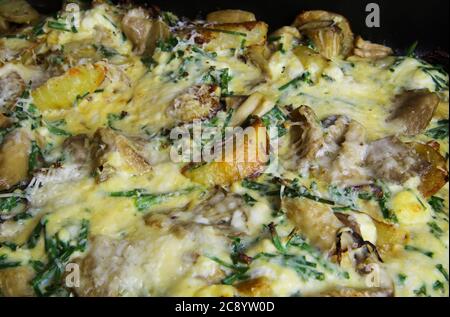 Nahaufnahme des gebackenen Auflaufes mit Kartoffeln, Austernpilzen, Parmesankäse und Schnittlauch Stockfoto