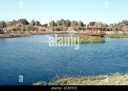 Ein Süßwasserpool und Bäume im Azraq Wetland Reserve und Oase in der östlichen Wüste der Region Badia im Haschemitischen Königreich Jordanien. Stockfoto