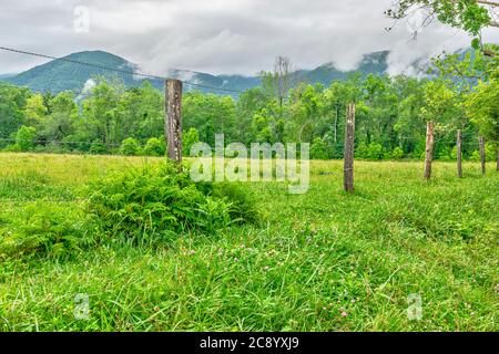 Horizontale Aufnahme eines schönen Smoky Mountain Bewölkten Morgen Blick über ein grünes Feld in Richtung der Berge. Stockfoto