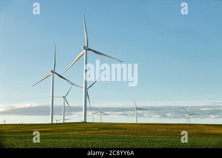 Ein Blick am frühen Morgen auf Reihen von umweltfreundlichen Windgeneratoren, auf einem Windpark auf einem Feld. Stockfoto