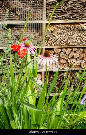 Insektenschutz, Insektenhotel, das die Tierwelt fördert, Holzkiste im Garten, Blumen Stockfoto