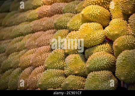 Ein Nahaufnahme von vielen frischen Durian Früchten auf dem Markt Stockfoto