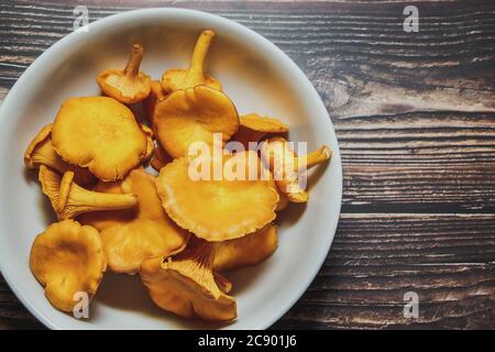 Frische Ernte der Pfifferlinge in einer weißen Schale auf einem hölzernen Hintergrund. Für Text platzieren. Stockfoto