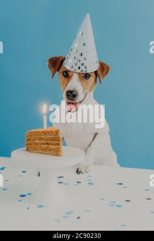 30 Stück Partyhüte Gold & Silber - Kegelhüte Für Geburtstag & Feiern