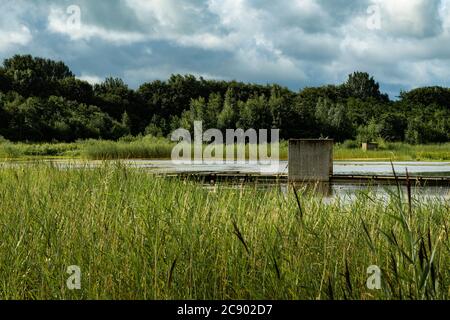 Ein schöner Weg, der von einem schwimmenden Dorf auf den See durch die Sumpfgebiete führt. Ein Dorf in der Mitte eines Sees, der von dem Marschlan umgeben ist Stockfoto