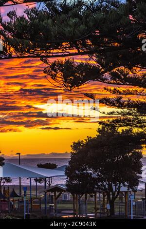 Sonnenaufgang in Napier, Neuseeland Stockfoto