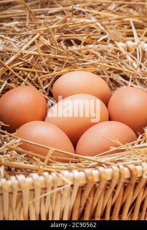 Die Eier, die in einem Korb mit Heu, ein Korb mit rohen Eiern in einem trockenen Gras bis Ostern gelegt werden. Stockfoto