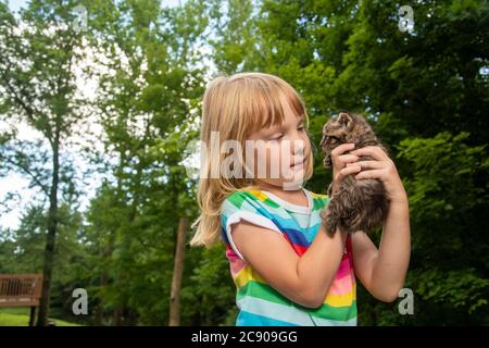 Blonde 5-jährige Mädchen hält ein Haustier tabby Kätzchen draußen an einem Sommertag Stockfoto