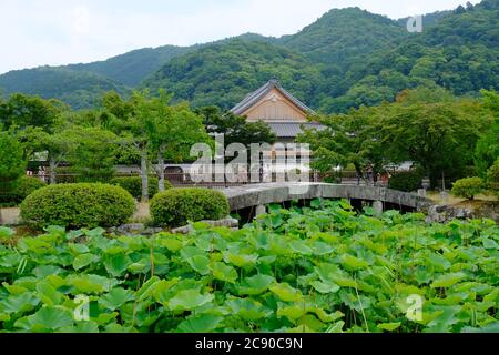 Kyoto Japan - Mt Arashiyama Monkey Park Iwatayama See mit Seerosen Stockfoto