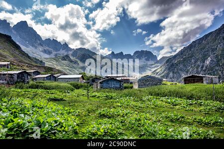 Stein- und Holzhaus mit herrlicher Natur der Schwarzmeerregion der Türkei ... Stockfoto