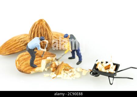 Nahaufnahme von Miniatur-Arbeiter mit Mandel Samen isolieren auf weißem Hintergrund. Stockfoto