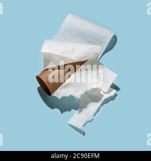 Schmutzige Toilettenpapierrolle Stockfoto