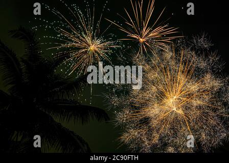 Palmen und Feuerwerk Stockfoto