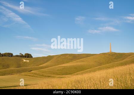 Cherhill White Horse und das Lansdowne Monument bei Sonnenuntergang. Cherhill Down, Calne, Wiltshire, England Stockfoto