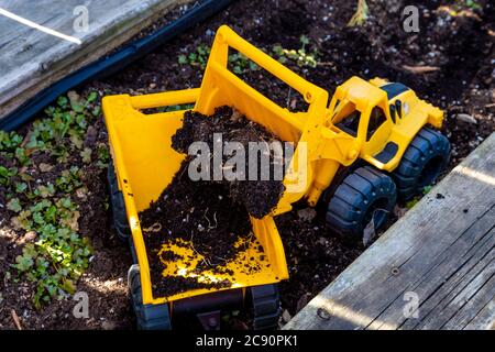 Ein gelber Spielzeug-Radlader lädt seinen Eimer mit Blumenerde in die Rückseite eines ähnlichen Spielzeug-Kipper in einem erhöhten Gartenpflanzer. Stockfoto