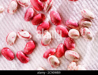 Frische Borlotti Bohnen Stockfoto