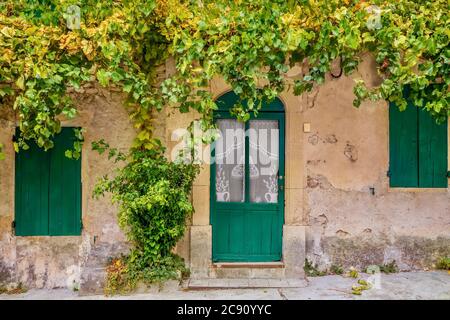 Blick auf die Straße eines einfachen, altmodischen französischen Dorfhauses in der Provence, mit Holztüren und Fensterläden, Spitzenvorhängen in den Fenstern und Weinreben Stockfoto