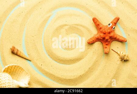 Sommer, Urlaub am Strand am Meer Hintergrund. Meer und Muscheln auf dem Sand des Strandes bei sonnigem Sommerwetter. Meer, Meer und Entspannung Stockfoto