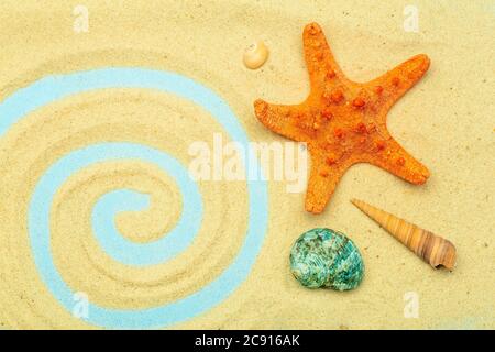 Sommer, Urlaub am Strand am Meer Hintergrund. Meer und Muscheln auf dem Sand des Strandes bei sonnigem Sommerwetter. Meer, Meer und Entspannung Stockfoto