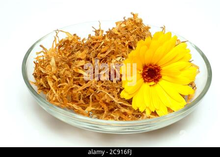 Getrocknete Blüten von Calendula, Calendula officinalis. Pharmazeutisch werden die getrockneten Blütenköpfe verwendet. Das Arzneimittel reduziert Entzündungen und Stockfoto