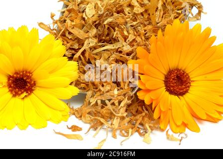 Getrocknete Blüten von Calendula, Calendula officinalis. Pharmazeutisch werden die getrockneten Blütenköpfe verwendet. Das Arzneimittel reduziert Entzündungen und Stockfoto