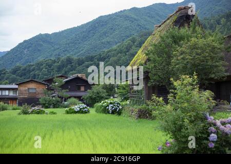 Shirakawa-go, Japan, 07-24-2020 , Shirakawa-go, ein Weltkulturerbe-Dorf in Japan. Stockfoto