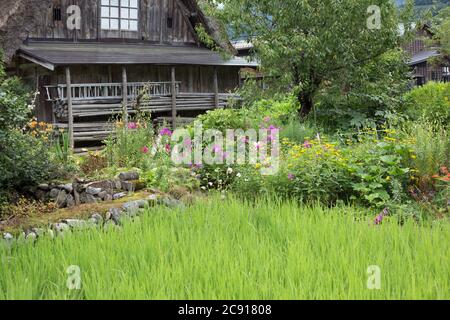 Shirakawa-go, Japan, 07-24-2020 , Shirakawa-go, ein Weltkulturerbe-Dorf in Japan. Stockfoto