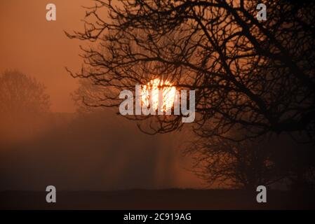 Die Sonne geht hinter Bäumen auf diesem Foto, das an einem kalten Wintermorgen aufgenommen wurde Stockfoto