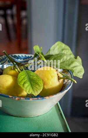 Keramikschale mit frischen ganz gelben Zitronen mit Blättern auf einem rustikalen grünen Tisch im Sonnenlicht Stockfoto