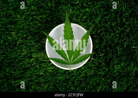 Weiße Creme-Glas mit grünen Marihuana-Blatt auf grünem Gras. Schönheit, Körperpflege Kosmetik mit Cannabisextrakt. Stockfoto