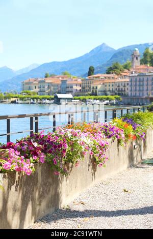 Spaziergang entlang des Comer Sees in Bellagio im Sommer, Italien Stockfoto