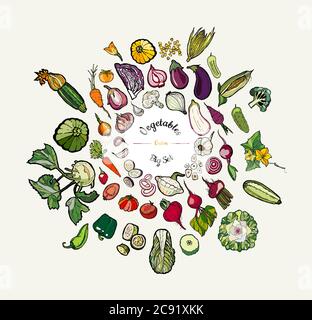 Gemüse isoliert von Hand gezeichnete Illustration. Vektor große Set von Hipster Hand gezeichnet farbigen Gemüse vegetarische Poster Stock Vektor