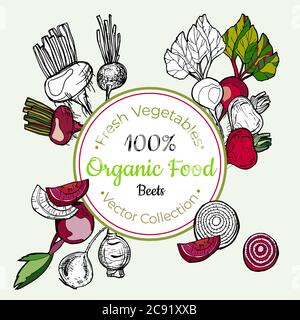 Beets Gemüse Lebensmittel vintage Vektor Aufkleber, Poster, Etikettenvorlage. Stock Vektor